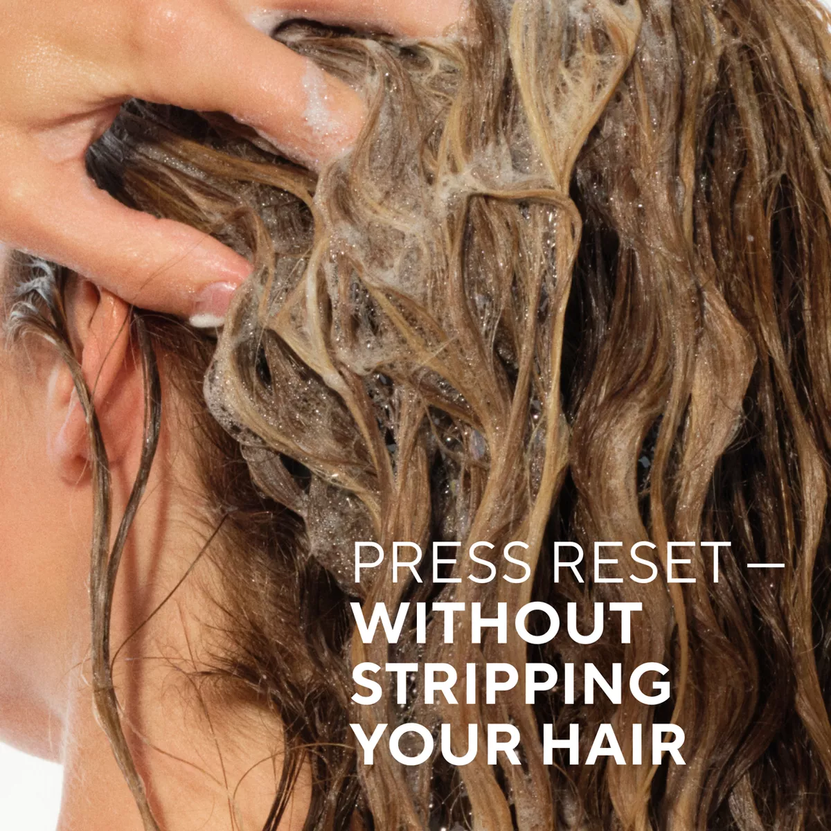 Native Fall Seasonal Vanilla & Cactus Flower Volumizing Shampoo - 16.5 Fl Oz