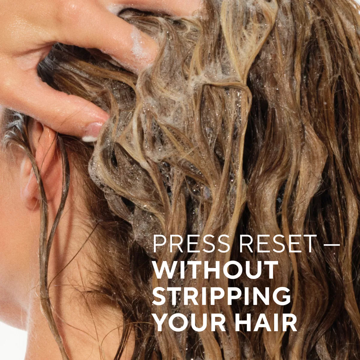 Native Fall Seasonal Vanilla & Cactus Flower Volumizing Shampoo - 16.5 Fl Oz